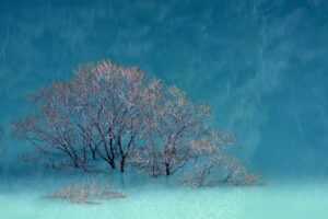 installation guide gmrrmulator