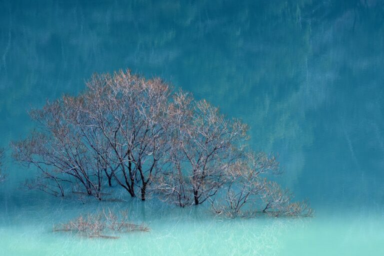 installation guide gmrrmulator