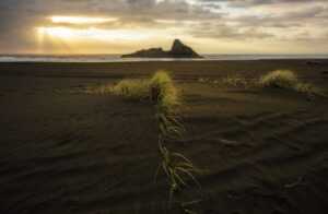 settings gmrrmulator