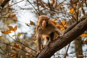 this excerpt is an example of how contributes to the catastrophe in romeo and juliet