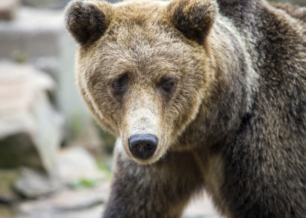 top social media influencers philippines 2018