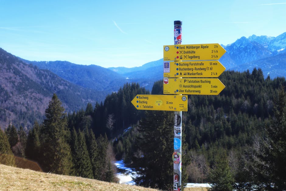 valorant ranking guide