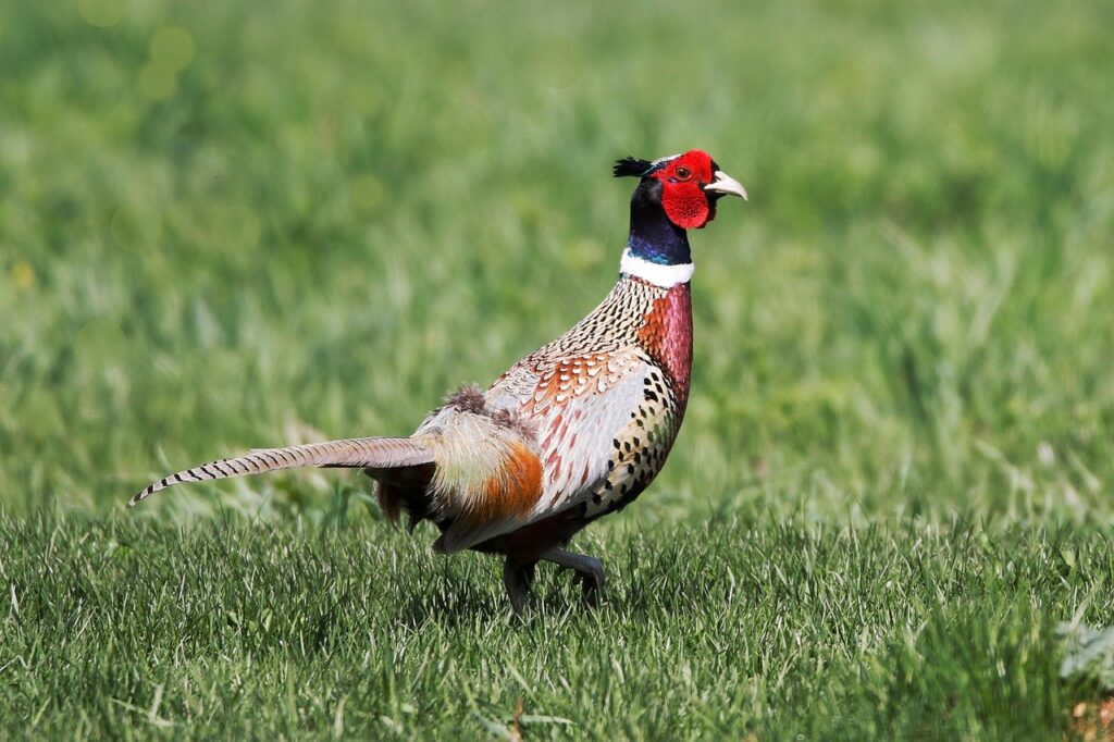 inviting-discovery-1