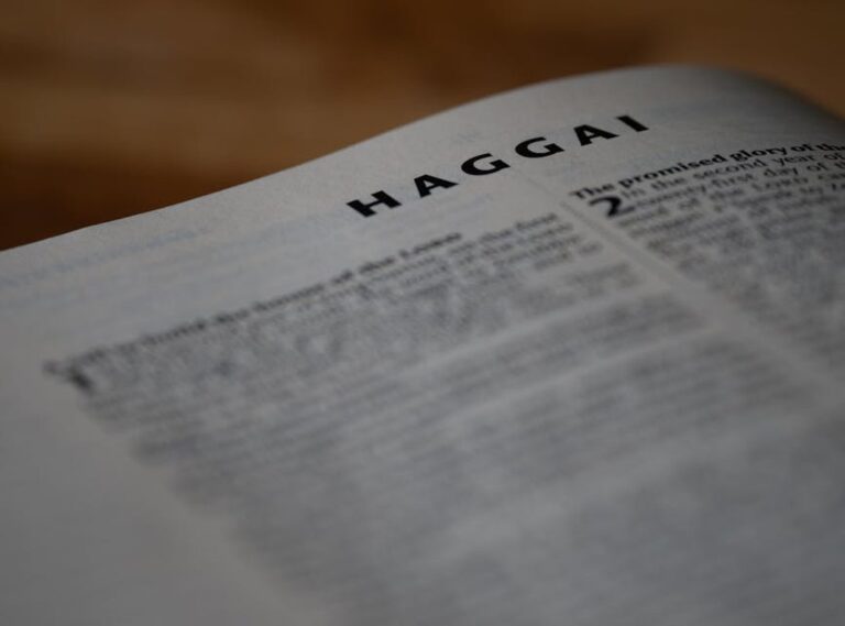 Lightniteone New Version for Pc