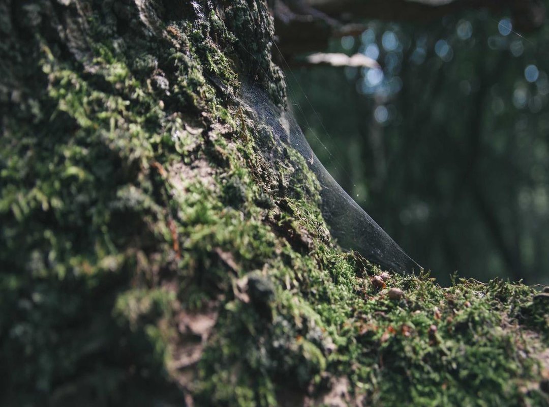 Solving the Puzzle: Step-by-Step Guide