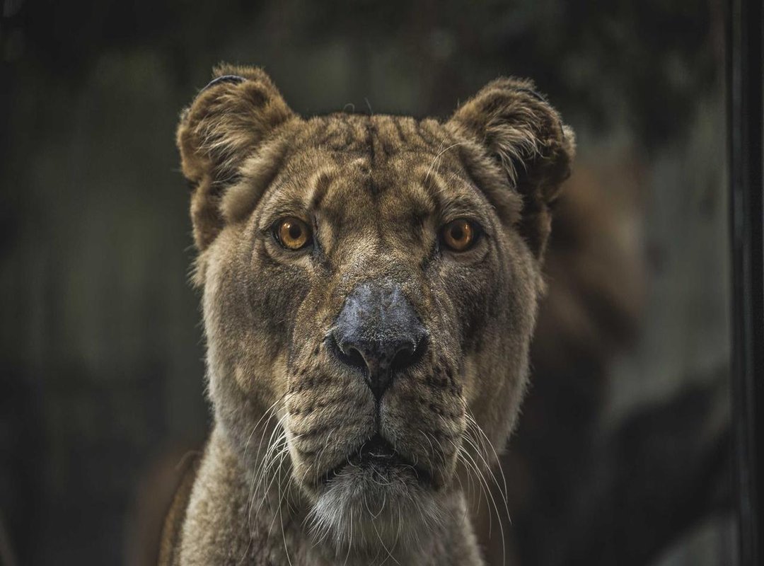 Where to Get the Best Deal: A Comparison of Exchange Options