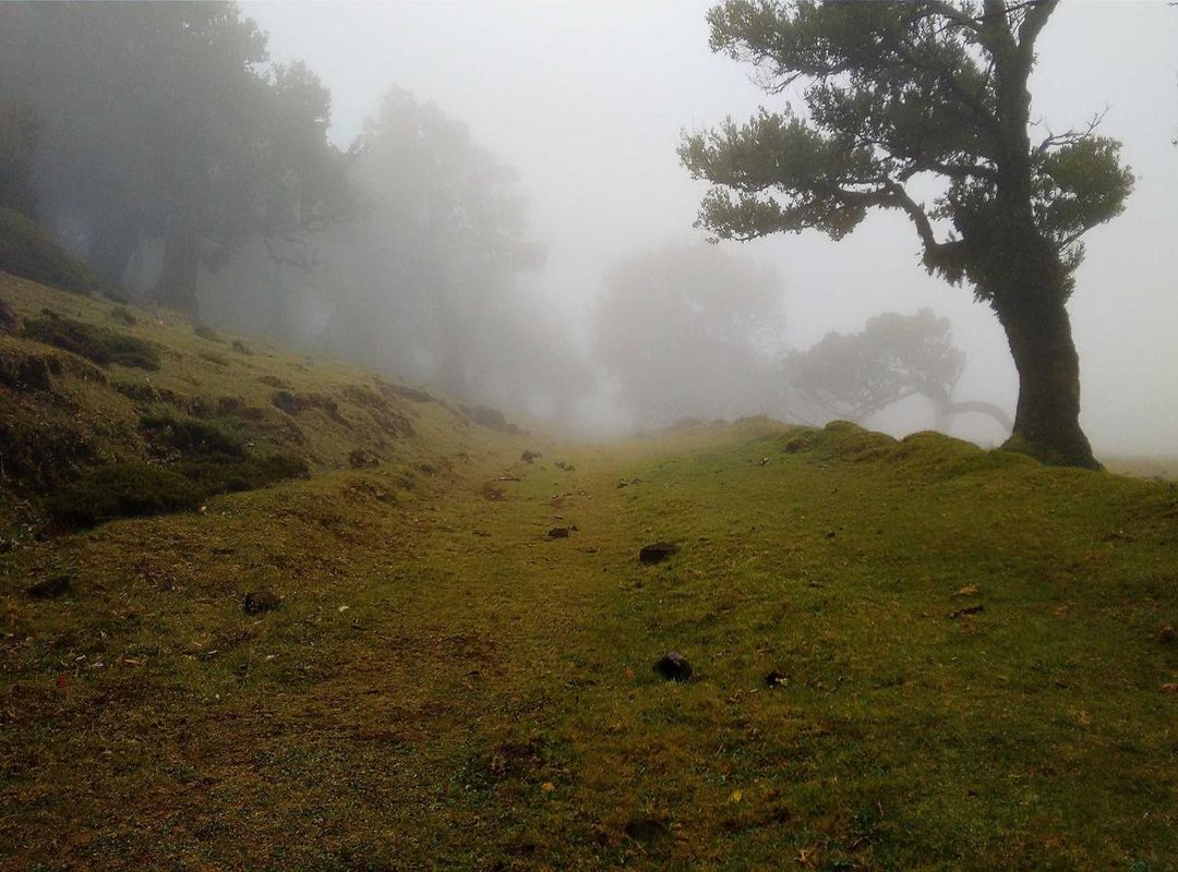 Snack Showdown: Chaparritos vs. Goldfish, Fruit Snacks, and Cheese Sticks