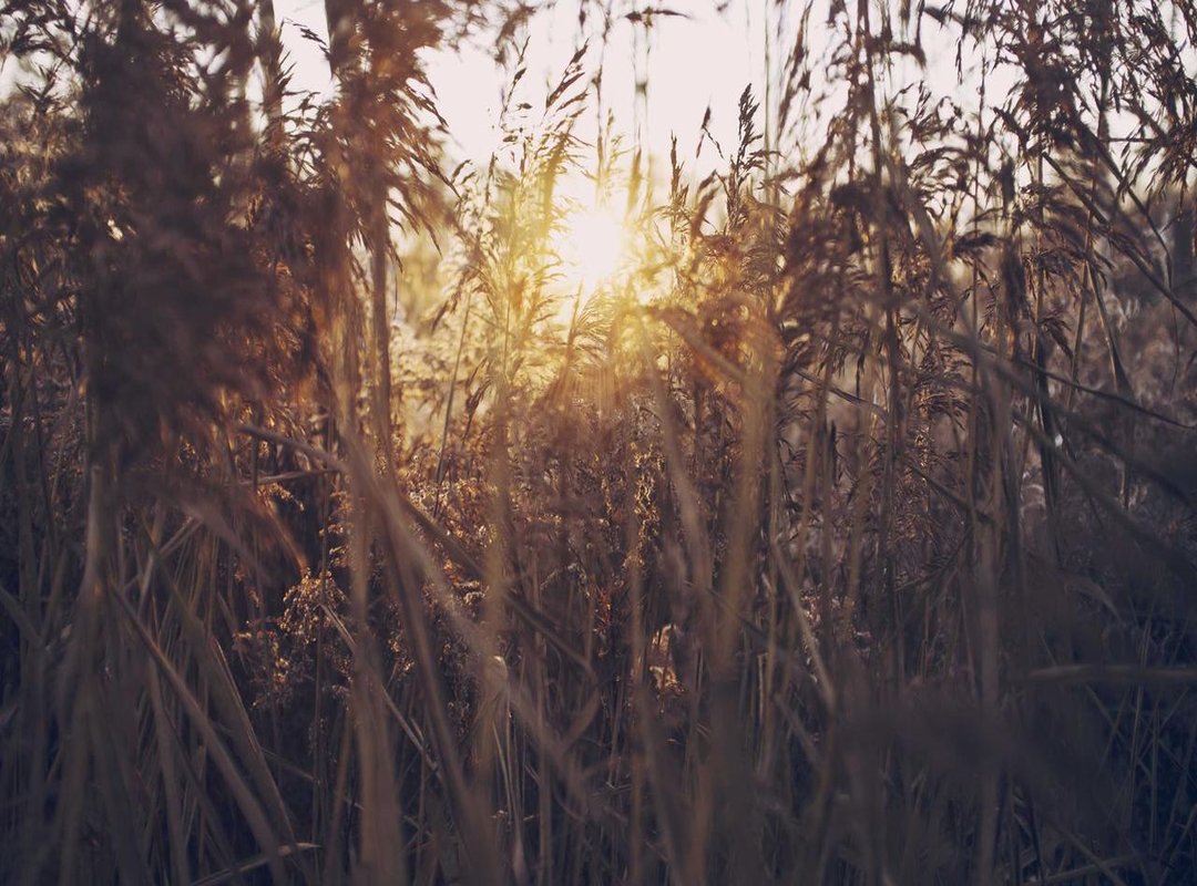 Beyond DivX: Today's Best High-Quality Video Formats