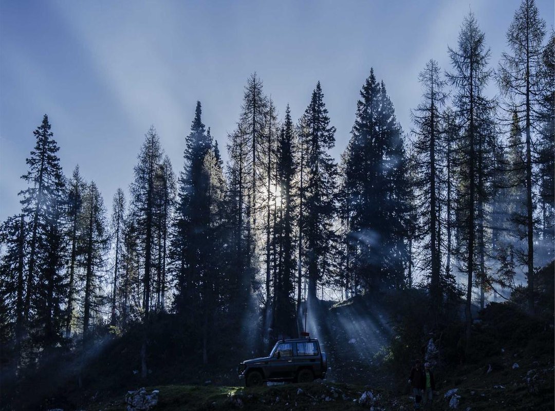 Anatomy of a Prank: How the 'Gambuzino Hunt' Works