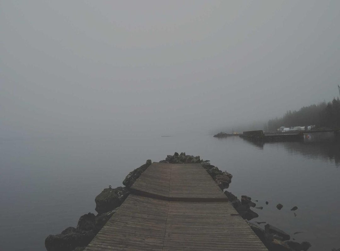 From Hit Song to Viral Sensation: The TikTok Takeover