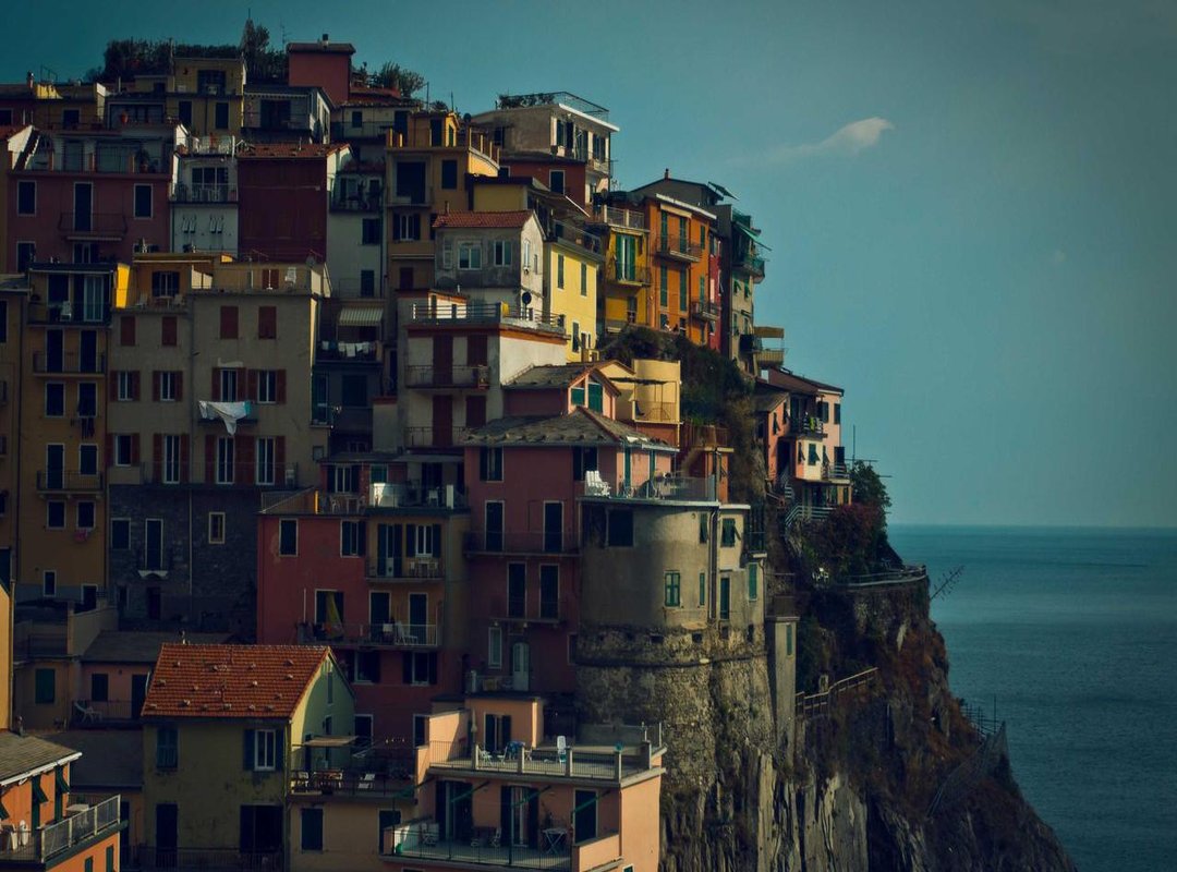 The Evolutionary 'Why': Survival, Competition, and Choice