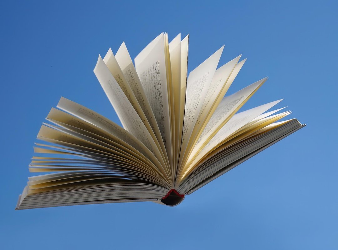 Where to Read the Full 'Mi Frío Ex Marido' Novel Online