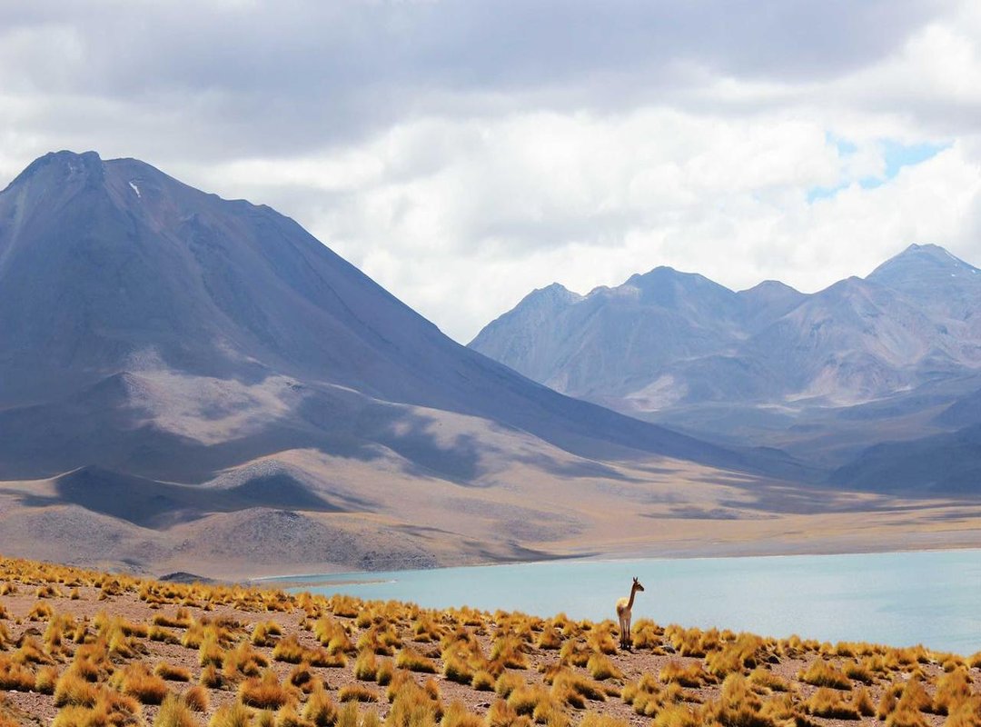 Hearing the Death Notices Live: Broadcast Times and Details