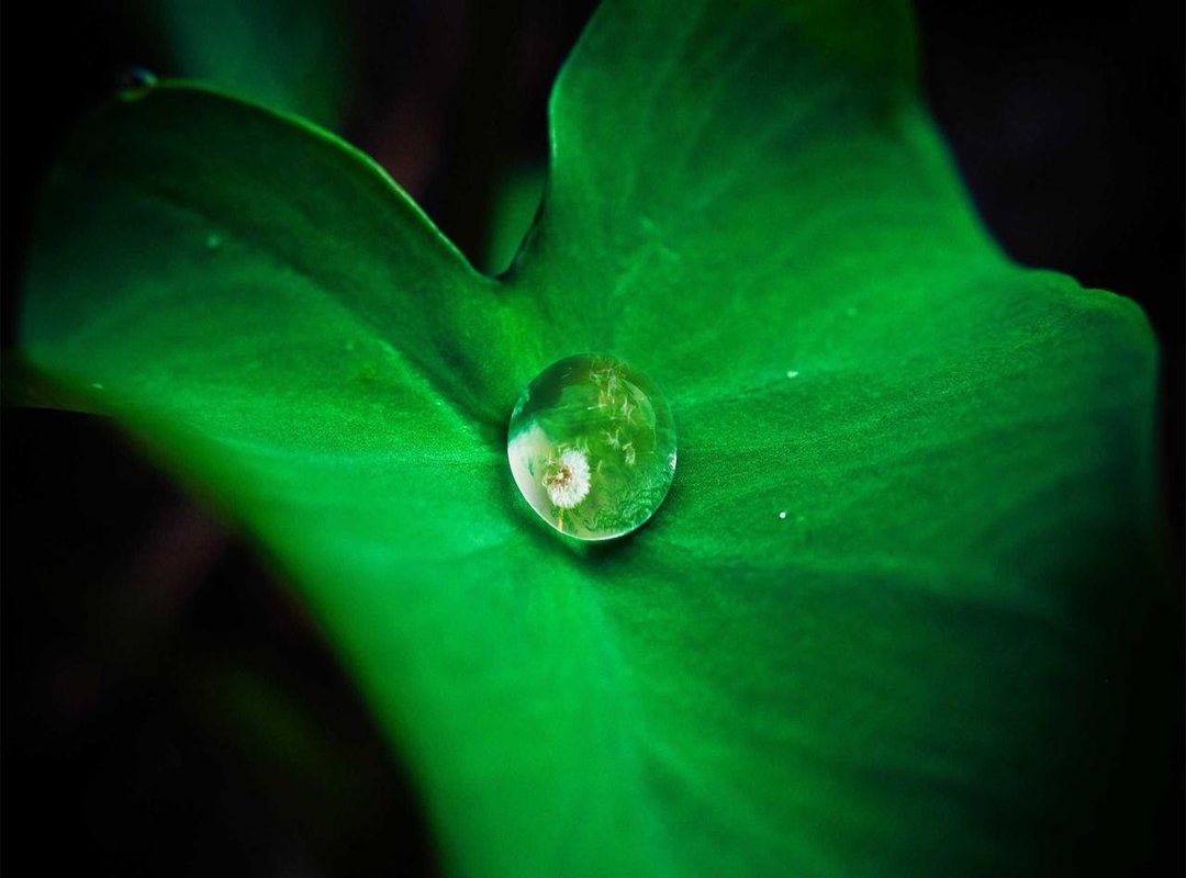 More Than Just Coloring: Fun Activities for Your Finished Artwork