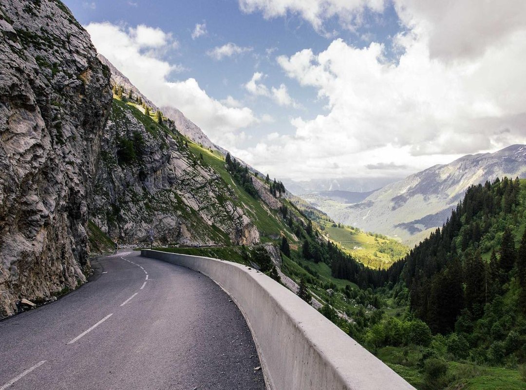 Connecting the Dots: Why Users Search for Rocco Baby TV on Chomikuj