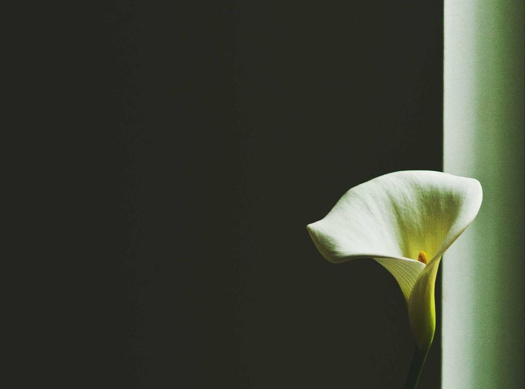 A Look Back: The High-Profile Engagement to Jelena Rozga