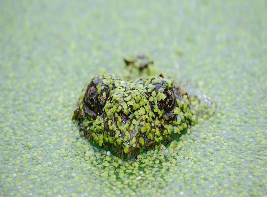 Unlocking Your Creativity: Fun Ideas for Character Design