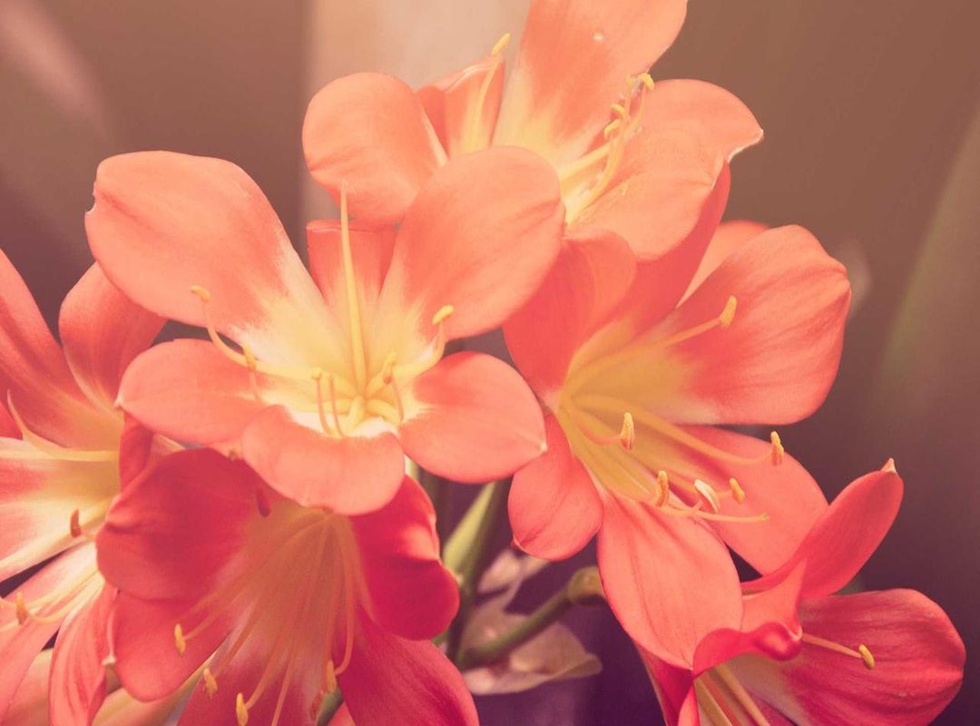 Adding Extra Warmth: Phrases to Enhance Your Greeting